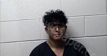 RUIZ PINEDA, ALVARO | 2025-11-27 Chase County, Kansas Booking