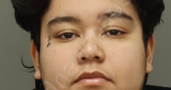 LOPEZ-VASQUEZ, HELEN ANGELINA | 2025-11-27 01:29:00 Wake County, North Carolina Booking