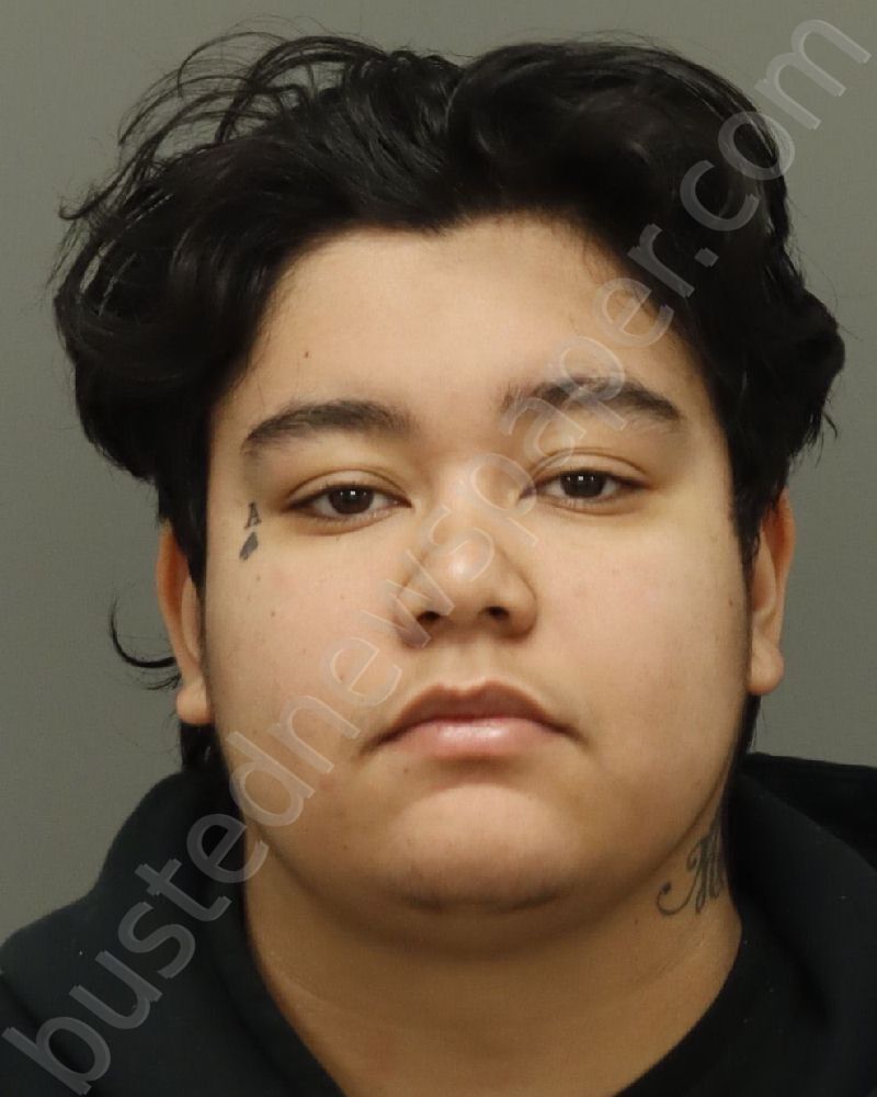 LOPEZ-VASQUEZ, HELEN ANGELINA #, Wake County, North Carolina - 2025-11-27 01:29:00