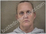 MCLAMB, CYNTHIA | 2025-11-28 Harnett County, North Carolina Booking