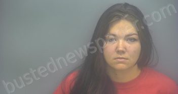 WOODWORTH, VIOLET ANN | 2025-11-29 09:22:00 Isabella County, Michigan Booking