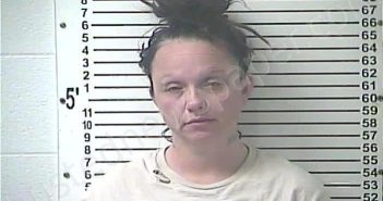 NEWSON, DAWNITA MARIE | 2025-11-29 08:51:00 Hardin County, Kentucky Booking