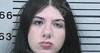 DICKERSON, GRACIE MICHELLE | 2025-11-29 23:05:43 Hood County, Texas Booking