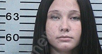 LEASURE, BAYLEIGH GRACE | 2025-11-29 22:30:36 Hood County, Texas Booking