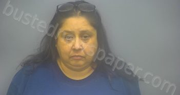 GARZA, MARIA JEANETTE | 2025-12-01 00:15:00 Isabella County, Michigan Booking