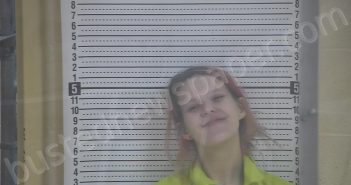 DICKSON, BREANNA GAIL | 2025-12-01 22:03:00 Taylor County, Kentucky Booking