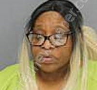 DOWDELL, FRANKIE WILHELMINA | 2025-12-01 Medina County, Ohio Booking