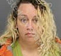 SETREE, MIRANDA JEAN | 2025-12-02 Medina County, Ohio Booking