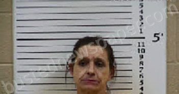 FREEMAN, ANGELA ANDERSON | 2025-12-02 15:39:00 Cherokee County, North Carolina Booking