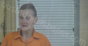 SEITZ, TELINA F. | 2025-12-02 01:27:00 Taylor County, Kentucky Booking