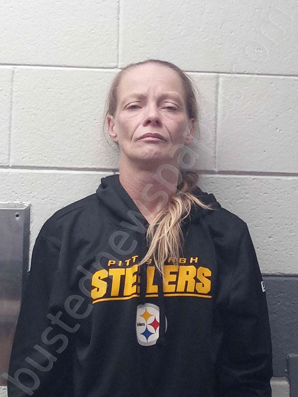 DAILEY, TINA #, Montgomery County, Kentucky - 2025-12-03