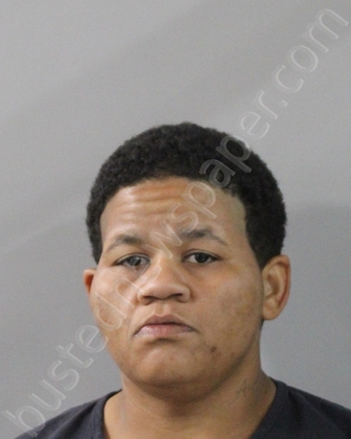 WATSON, TAYLOR NICOLE #, Polk County, Florida - 2025-12-04