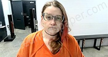 MAGANA, BRIDGET NICOLE | 2025-12-05 18:27:00 Fulton County, Arkansas Booking