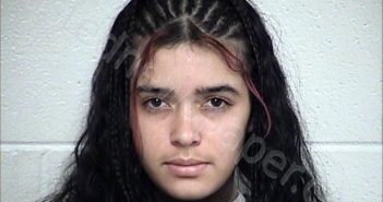 LINAREZ SEQUERA, CARLA ANDREINA | 2025-12-06 Chase County, Kansas Booking