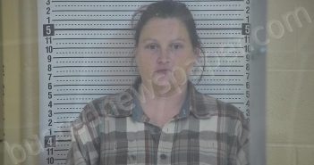 GOODIN, CHRISTINA LYNN | 2025-12-07 00:47:00 Taylor County, Kentucky Booking