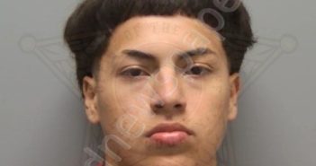 FUENTES ROMERO, RONI LUCIANO | 2025-12-07 00:50:00 Lee County, Florida Booking