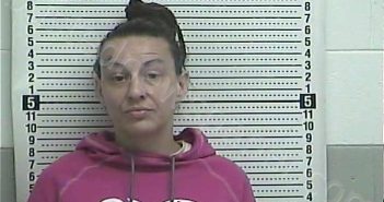 HUTCHINSON, TONI | 2025-12-08 12:06:00 Casey County, Kentucky Booking