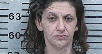 HOLDRIDGE, AMANDA MICHELLE | 2025-12-08 15:55:43 Hood County, Texas Booking