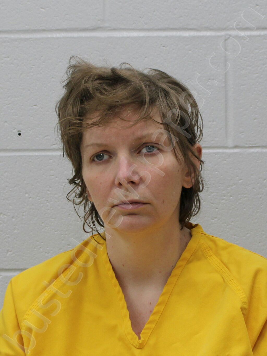 CHUMLEY, LISA N #, Franklin County, Illinois - 2025-12-08 19:00:00