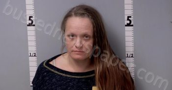 ARELLANO, KERRI NICOLE | 2025-12-08 04:37:00 Gratiot County, Michigan Booking