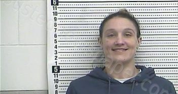 LANHAM, RACHEL | 2025-12-08 12:12:00 Casey County, Kentucky Booking