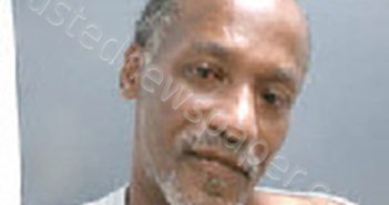 WILLIAMSON, ROCHELLE NMN | 2025-12-09 16:08:00 Lee County, North Carolina Booking