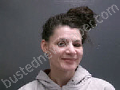 WATKINS, KARISSA BROOKE #, Lee County, North Carolina - 2025-12-10 20:06:00