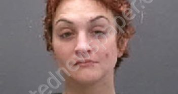 WARREN, BRITTANY LOUISE | 2025-12-10 23:43:00 Lee County, North Carolina Booking