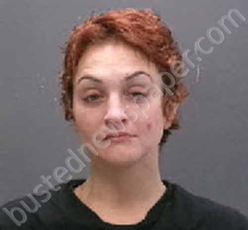 WARREN, BRITTANY LOUISE #, Lee County, North Carolina - 2025-12-10 23:43:00