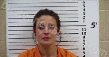 ROSARIO, RACHELLE RENEE WILLIS | 2025-12-10 21:10:00 Cherokee County, North Carolina Booking