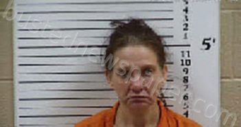 SHAW, DEANNA MARIE | 2025-12-11 13:24:00 Cherokee County, North Carolina Booking