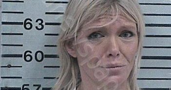 WILLIAMSON, ASHLEY LYNN | 2025-12-15 06:13:11 Hood County, Texas Booking
