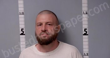 SEAMAN, TIMOTHY ALLEN | 2025-12-15 15:12:00 Gratiot County, Michigan Booking