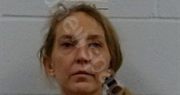 SMITH, CANDACE BROOKE | 2025-12-16 10:55:00 Lincoln County, Arkansas Booking