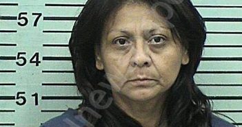 GUIA, MARY ANN | 2025-12-19 22:20:06 Hood County, Texas Booking