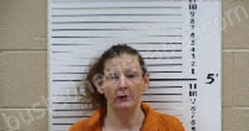 LEONARD, PRISCILLA MARIE | 2025-12-19 09:51:00 Cherokee County, North Carolina Booking