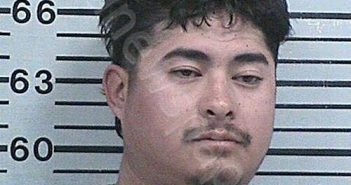 SALINAS, ROLANDO | 2025-12-22 04:36:29 Hood County, Texas Booking