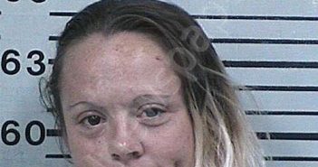 LARSEN, TONYA CHRISTINE | 2025-12-22 16:21:40 Hood County, Texas Booking