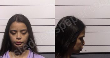 VEGA MARTINEZ, MARIA FERNANDA | 2025-12-23 Gillespie County, Texas Booking