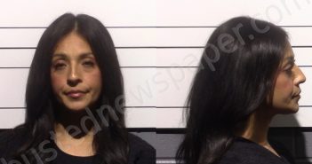 RAMOS, YASMIN RENE | 2025-12-28 Gillespie County, Texas Booking