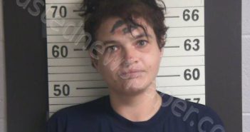 LONG, JOHNNIE R | 2025-12-28 00:37:00 Hamblen County, Tennessee Booking