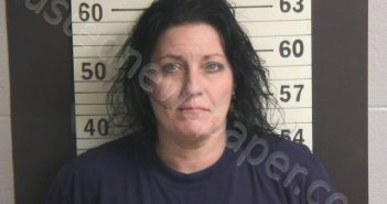 BRONSON, DANIELLE M | 2025-12-28 00:37:00 Hamblen County, Tennessee Booking