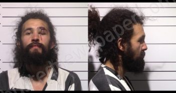 MEDINE, MIGUEL ANGEL TAVIZON | 2025-12-31 Gillespie County, Texas Booking