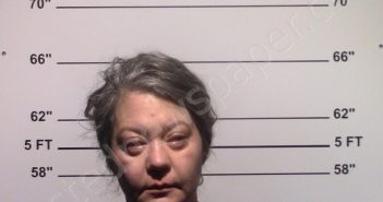 COLLINS, LINDSEY MARIE | 2025-12-31 Gillespie County, Texas Booking