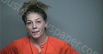 STUTZ, SHANNON N | 2026-01-01 03:44:00 Adams County, Ohio Booking