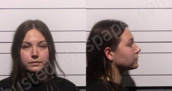 BEDFORD, LYUBA | 2026-01-01 Gillespie County, Texas Booking
