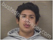 MARTINEZ, WILLIAM | 2026-01-01 Harnett County, North Carolina Booking