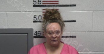 WALLINGFORD, CRYSTAL L | 2026-01-02 20:56:00 Scott County, Tennessee Booking