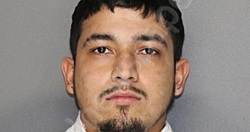 TORRES-FERNANDEZ, DELVIN | 2026-01-02 12:38:24 Ellis County, Texas Booking