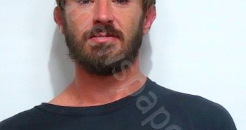 THORNTON, JACOB DAVID | 2026-01-02 15:57:00 Suwannee County, Florida Booking